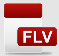 FLV视频播放器