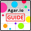 Agar.io 指引及提示
