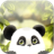 熊猫动态壁纸免费/熊猫Chub LWP