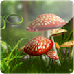 3d蘑菇