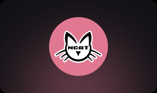 NCAT：加密世界的最新消息