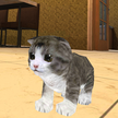 小猫猫模拟器3D