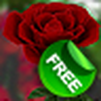 玫瑰3d动态壁纸/3d玫瑰动态壁纸免费