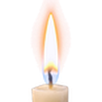 蜡烛/蜡烛